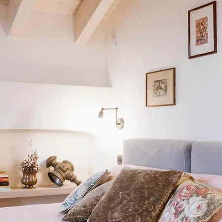 Trisano * Bra